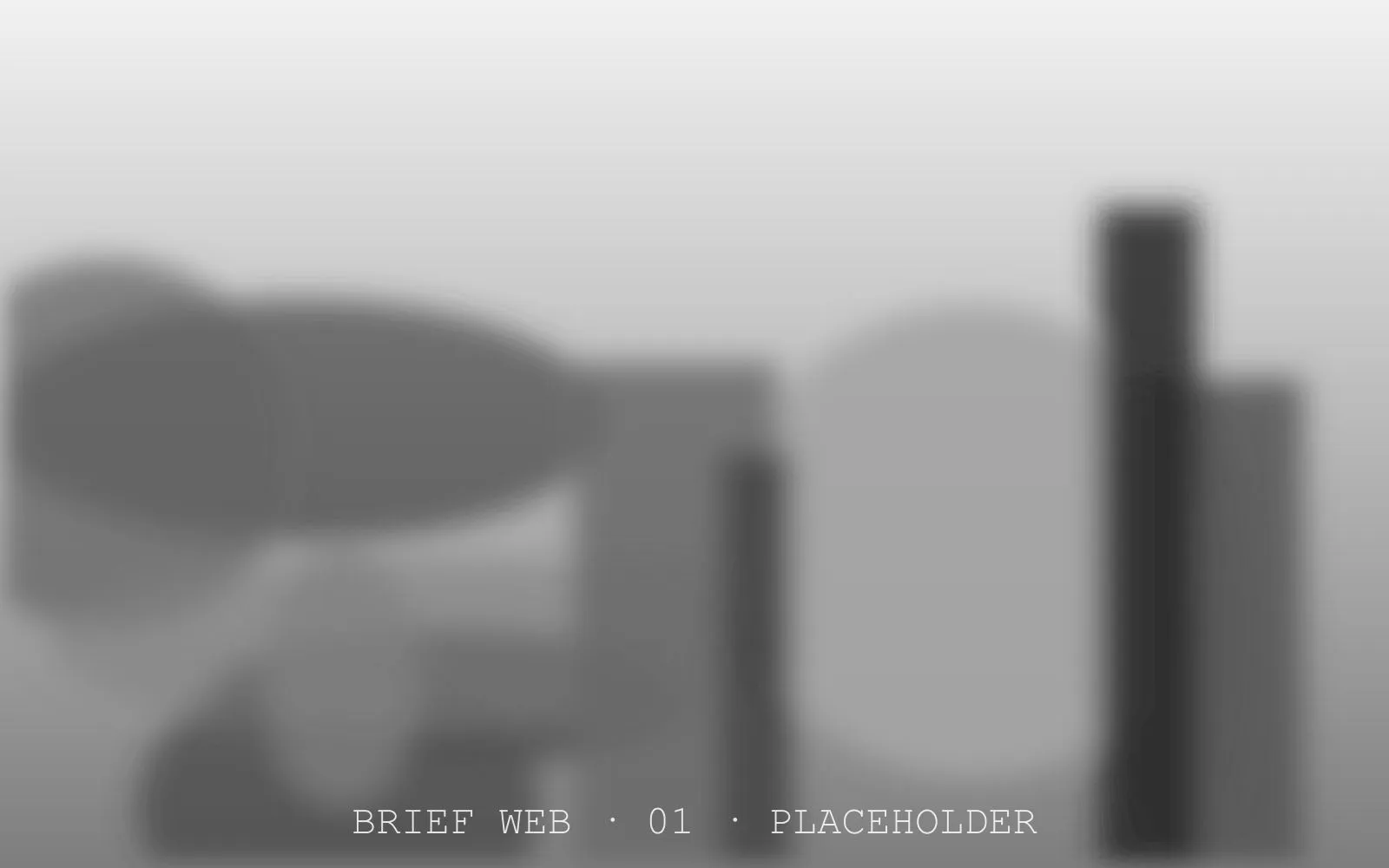 Placeholder screenshot of a brief layout